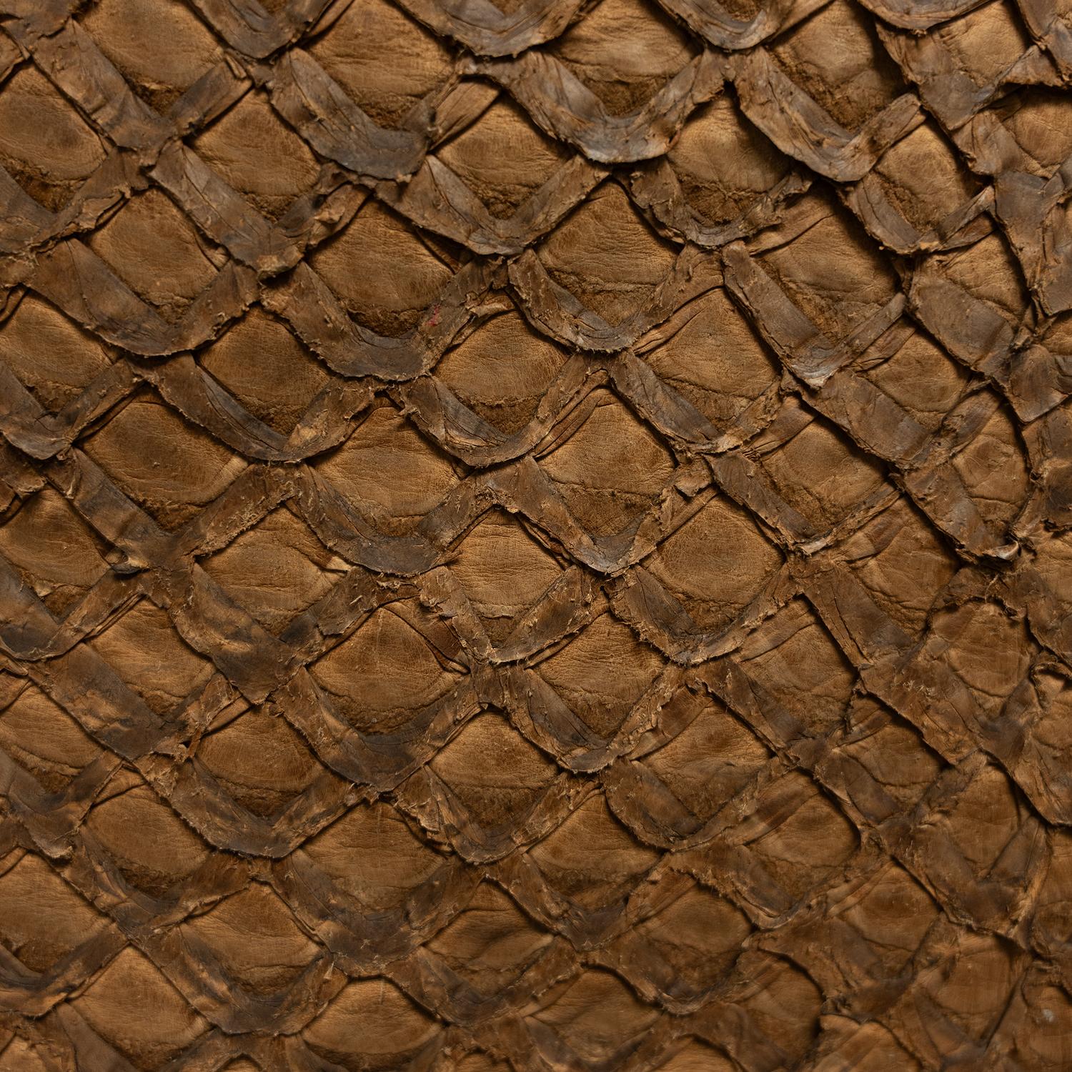 Pirarucu Fish Leather - Limited Edition